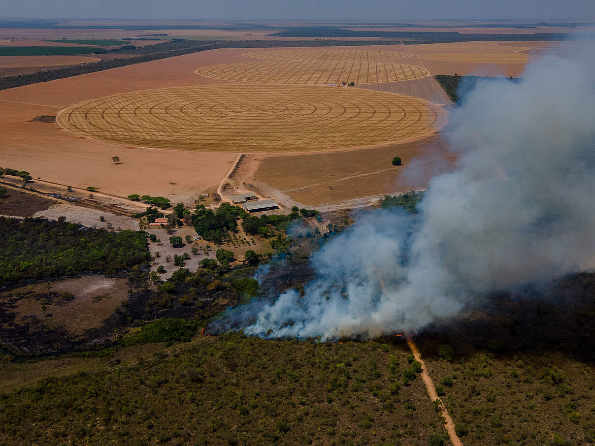 Riesige runde, gerodete Fläche hinter Wäldern und Savannen, die gerade gezielt abgebrannt werden