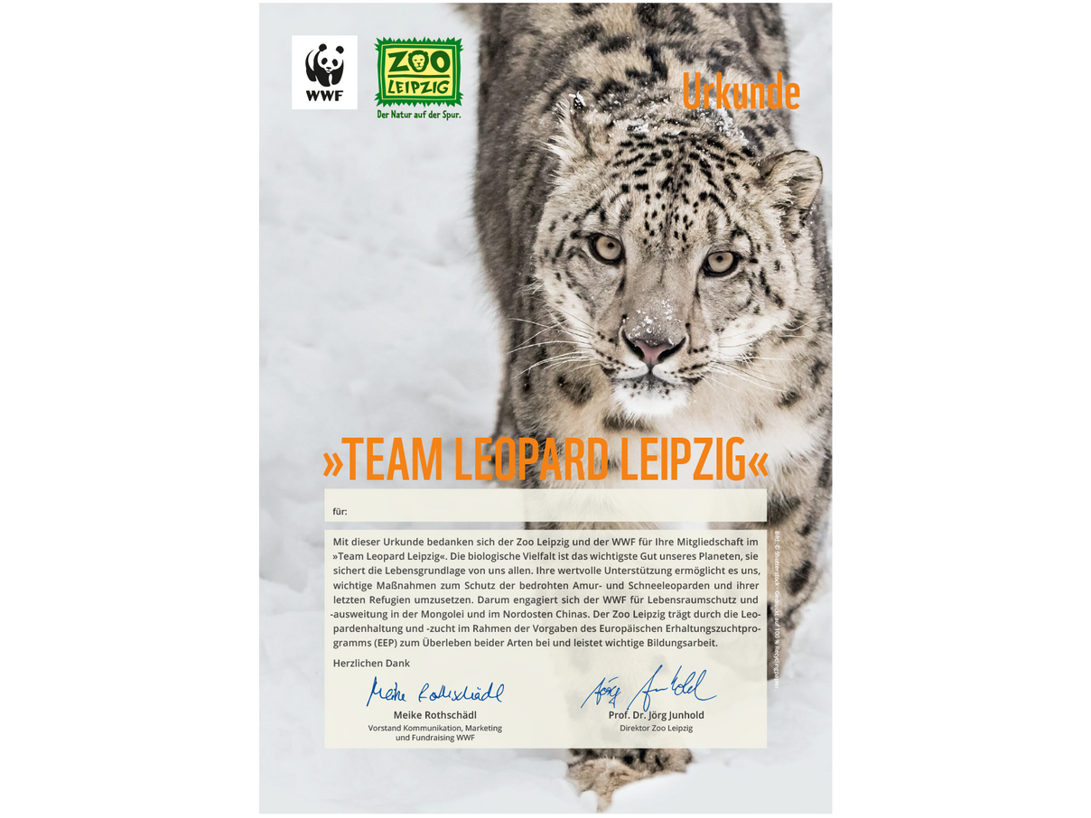 „Team Leopard Leipzig“-Urkunde © WWF