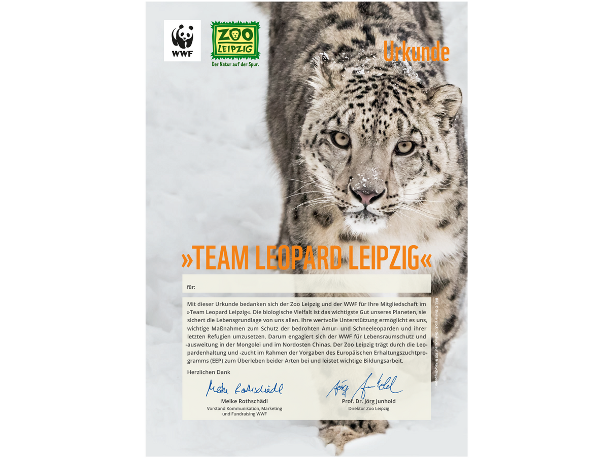 „Team Leopard Leipzig“-Urkunde © WWF „Team Leopard Leipzig“-Urkunde © WWF