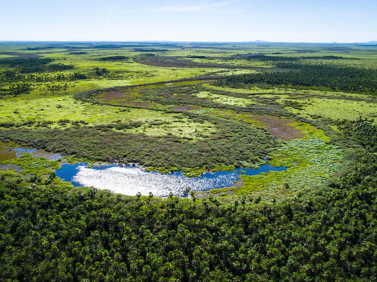 Auengebiet am Rio Paraguay © Andrés Unterlasdtaetter / WWF Bolivien