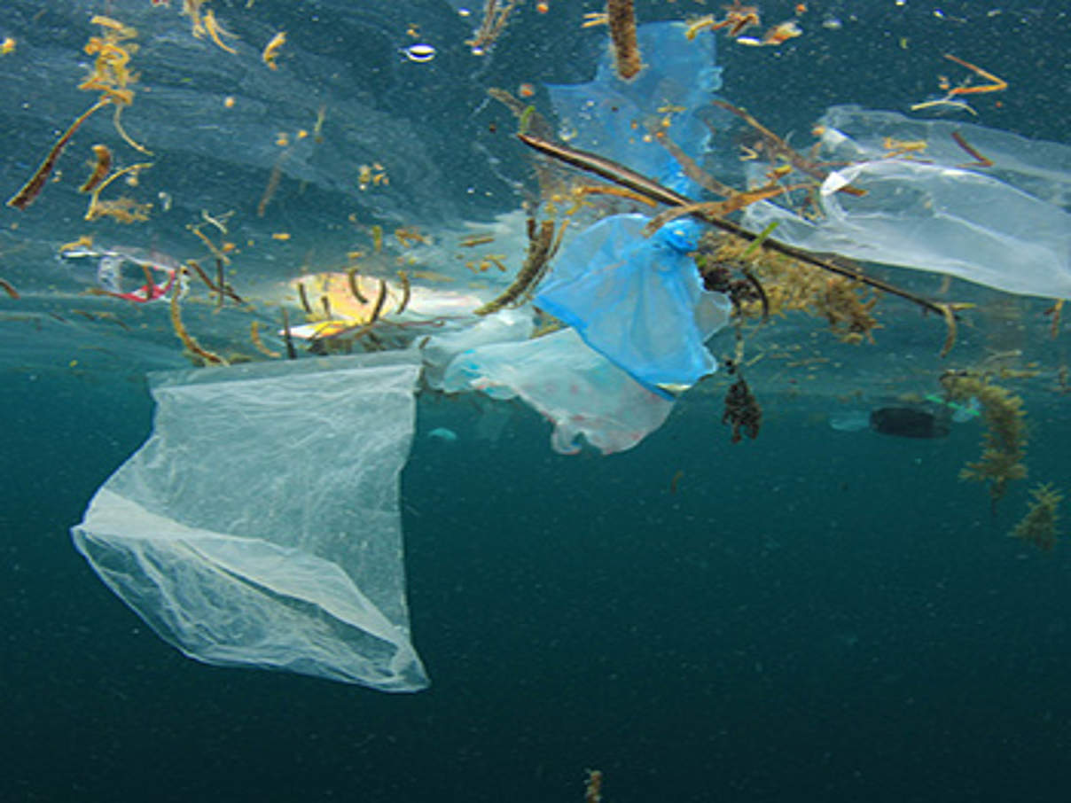 Plastikverschmutzung im Meer ©shutterstock Rick Carey WWF