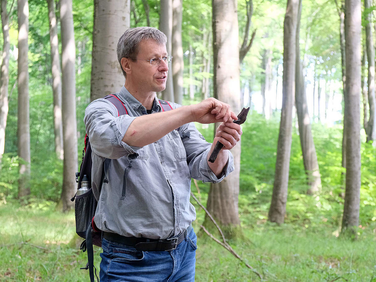 Dr. Ingolf Stodian, Dezernatsleiter Gebietsbetreuung Nationalpark Jasmund © Nationalpark-Zentrum KÖNIGSSTUHL