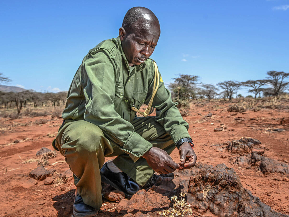 Naturschutz-Ranger in Kenia 