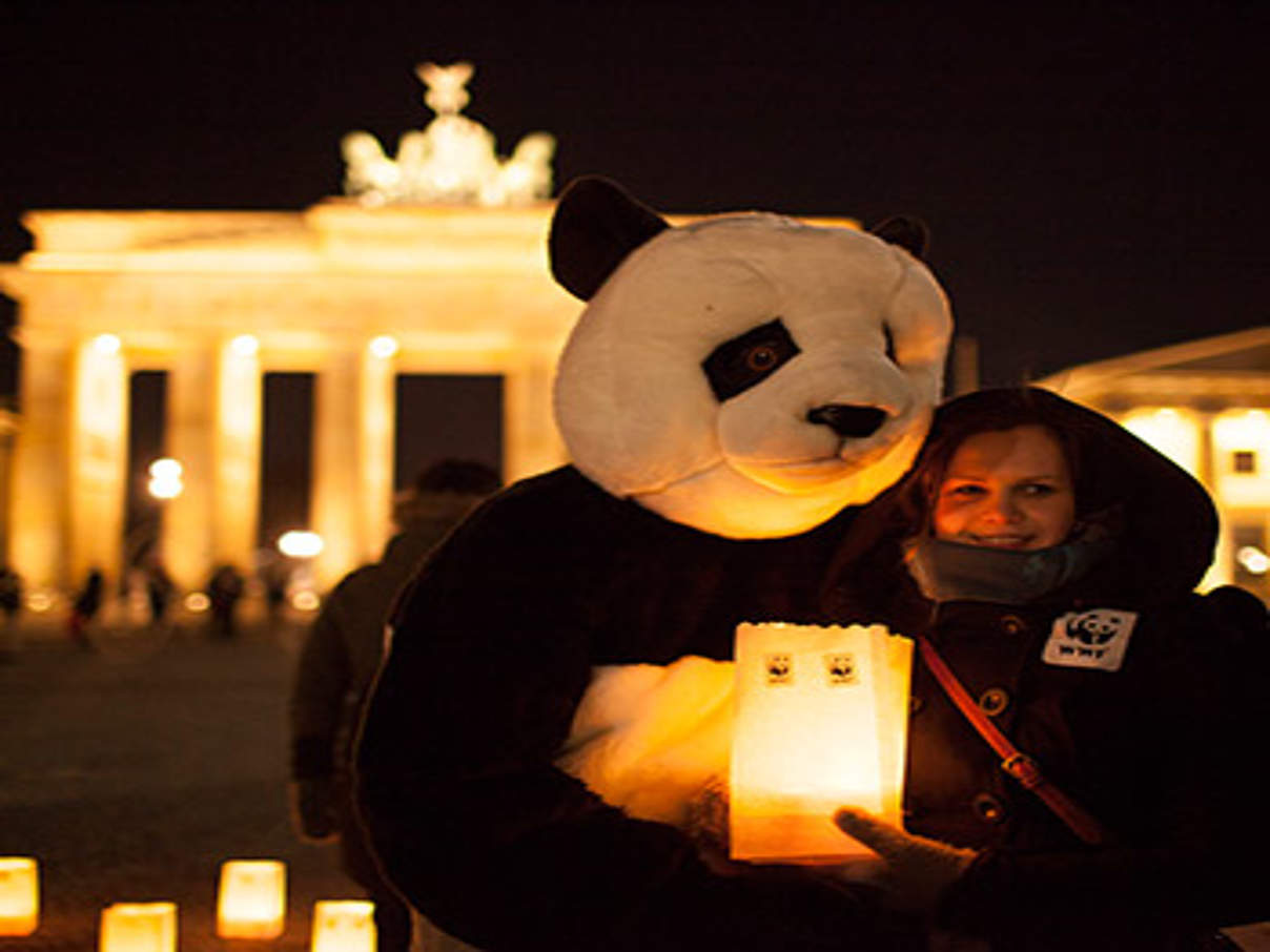 350 5197 WWF Earth Hour 2013 Berlin c David Biene WWF "Ja zur Energiewende!" forderten hunderte Teilnehmer bei der Earth Hour am Brandenburger Tor. © David Biene / WWF
