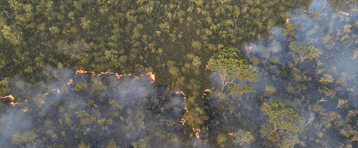 Aus der Sicht einer Drohne: Brand in der Savanne im Cerrado © Andre Dib / WWF-Brazil