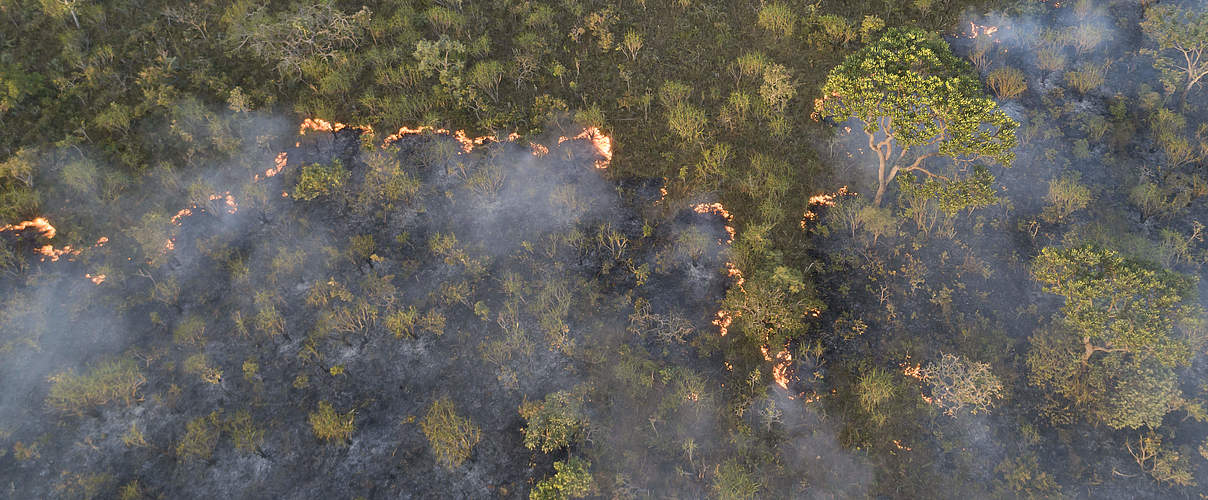 Aus der Sicht einer Drohne: Brand in der Savanne im Cerrado © Andre Dib / WWF-Brazil