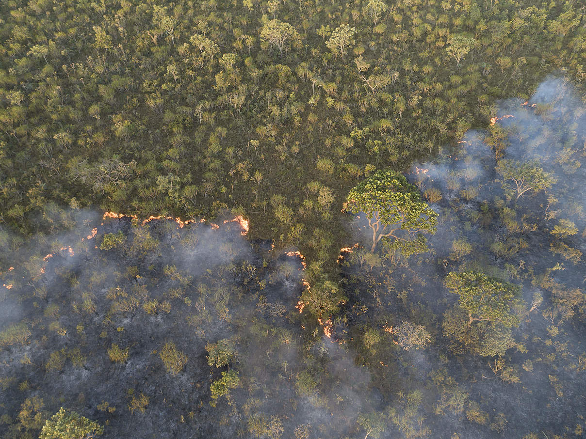 Aus der Sicht einer Drohne: Brand in der Savanne im Cerrado © Andre Dib / WWF-Brazil
