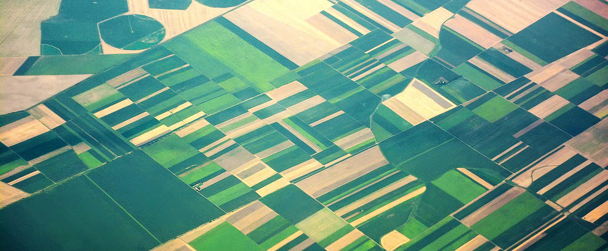 Landwirtschaftlich bestellte Fläche (Europa) © IMNATURE / iStock / Getty Images Plus