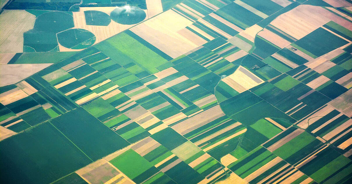 Klare Vorgaben fürs Düngen schaffen Planungssicherheit für Landwirte
