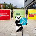 Klimaschutz ist mit dem Panda nicht verhandelbar © Die Projektoren