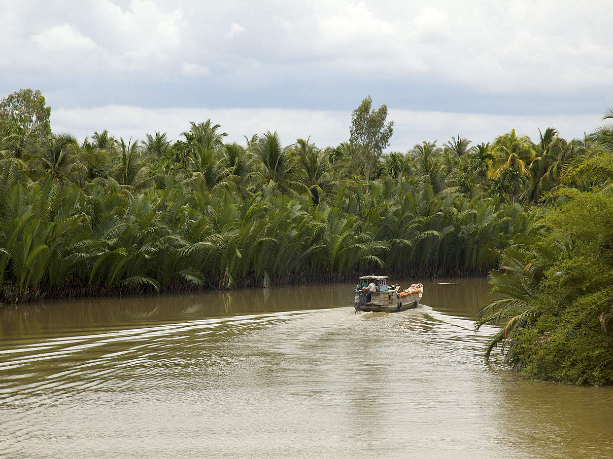 Mekong Delta © Adam Oswell / WWF-Greater Mekong