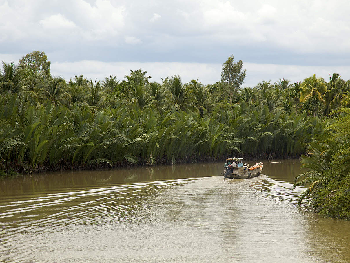 Mekong Delta © Adam Oswell / WWF-Greater Mekong
