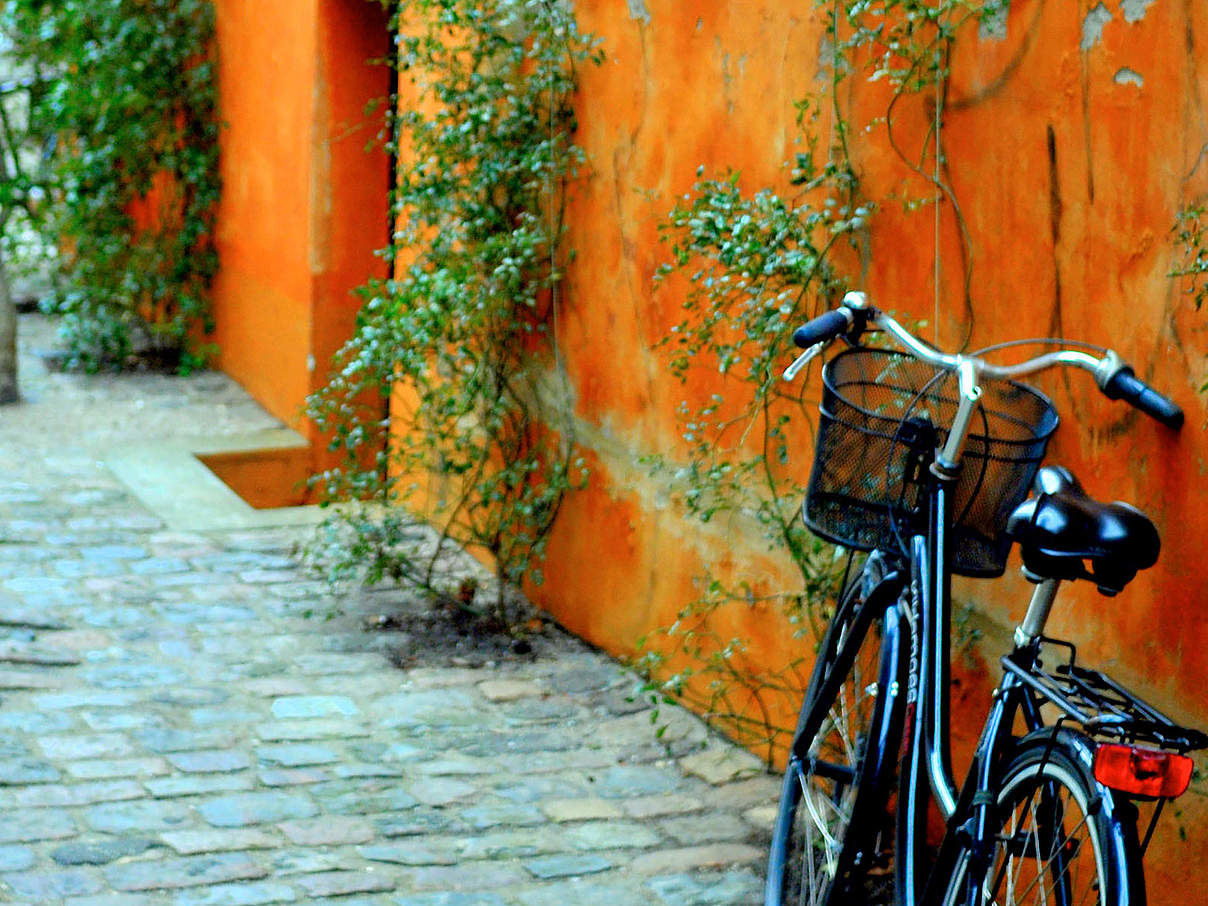 Ein Fahrrad in Kopenhagen © Fernando Zarur / WWF