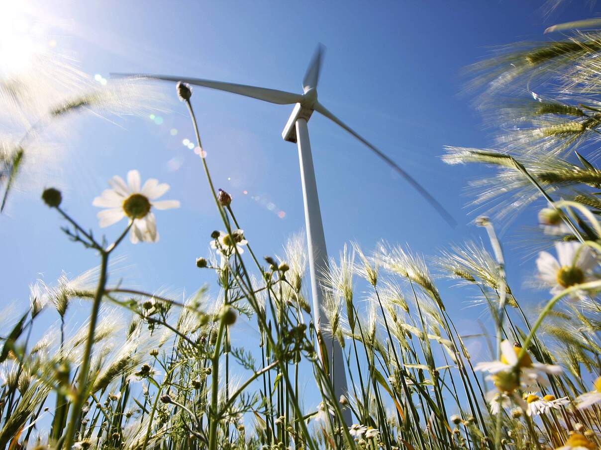 Windrad auf einem Feld © imago stock & people