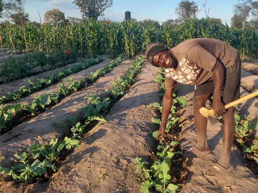Ein Mann in Sambia auf dem frisch bewirtschafteten Feld.