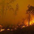Waldbrände in Indonesien © Frenky Irawan / WWF-Indonesia