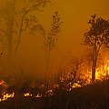 Waldbrände in Indonesien © Frenky Irawan / WWF-Indonesia