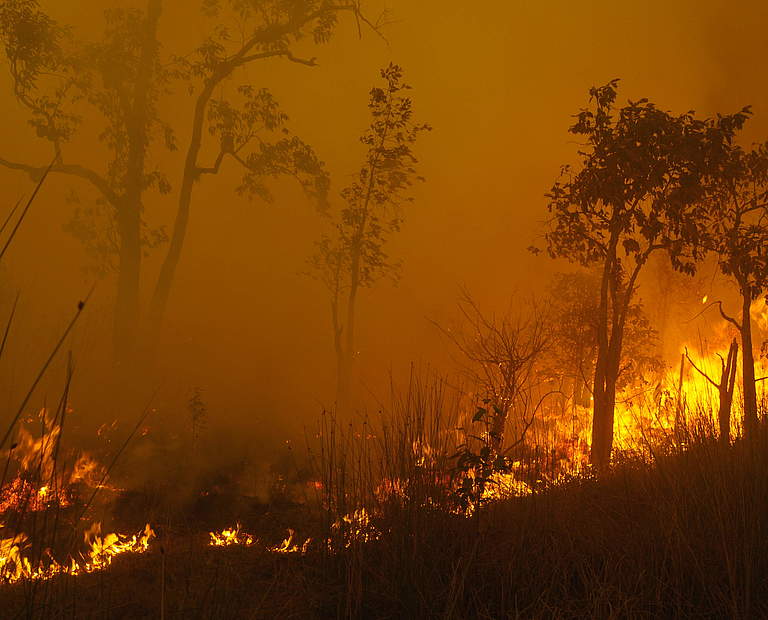 Waldbrände in Indonesien © Frenky Irawan / WWF-Indonesia