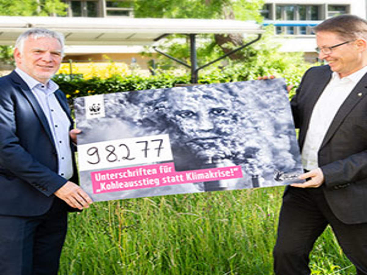 300 2018 05 29Petitionsuebergabe 1 Delia Woehlert WWF Fast 100.000 Menschen fordern ein schnelles Ende der Kohle © WWF/Delia Wöhlert