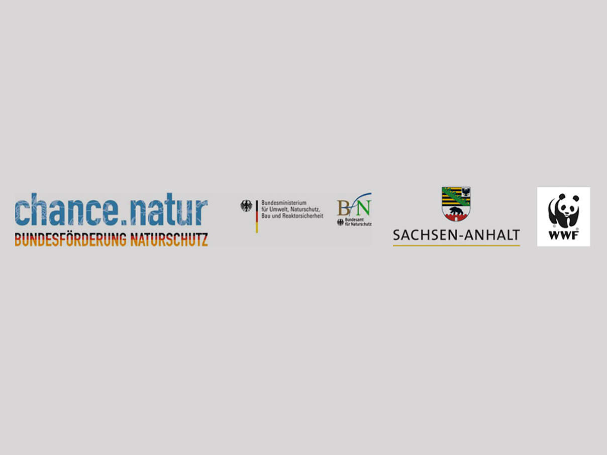 chance.natur BfN / Land Sachsen Anhalt / WWF