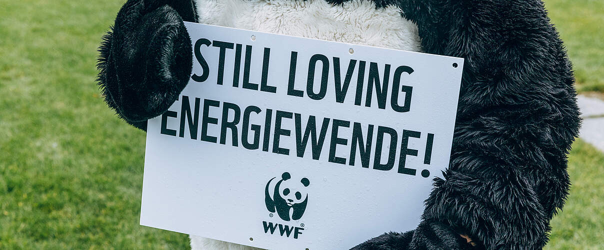 Protestaktion "Still Loving Energiewende" © Marlene Gawrisch / WWF