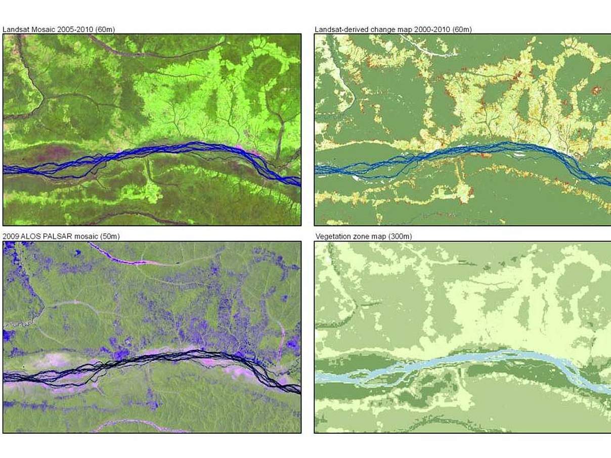 Vergleich der Aufnahmen verschiedener Satelliten (Ausschnitt: Kongo) © WWF