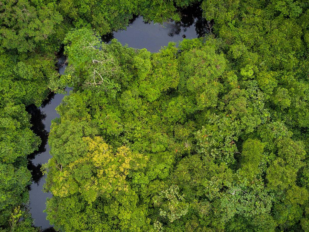 Salonga National Park © Thomas Nicolon / WWF DRC