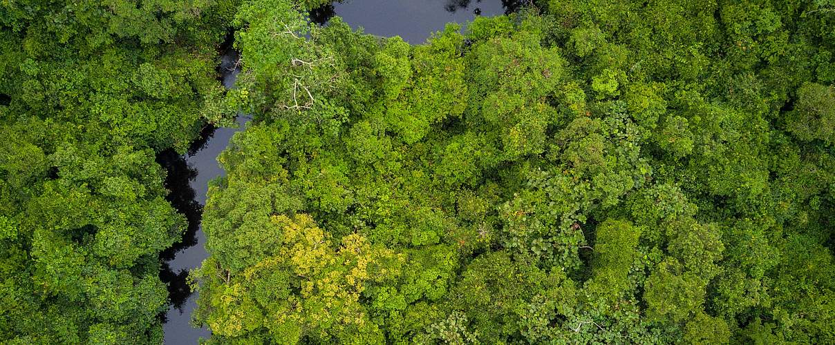 Salonga National Park © Thomas Nicolon / WWF DRC