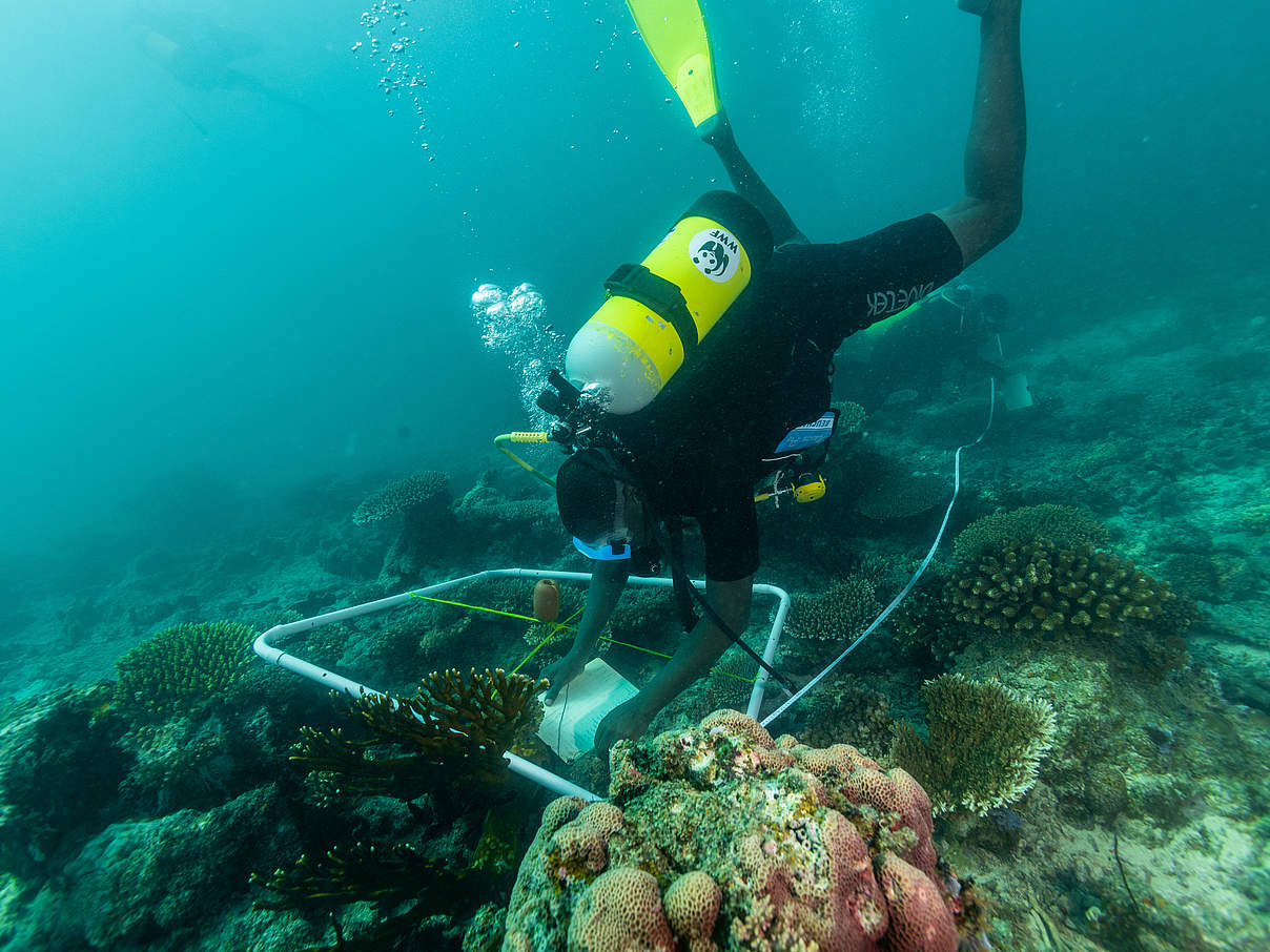Taucher erforschen Meeresboden © Ngoteya Wild / Blue Action Fund / WWF Tansania