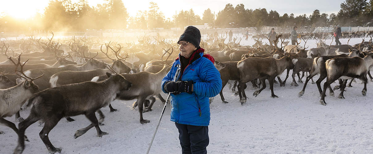 Åhkka Omma beim jährlichen Rentiertreiben © Maren Krings