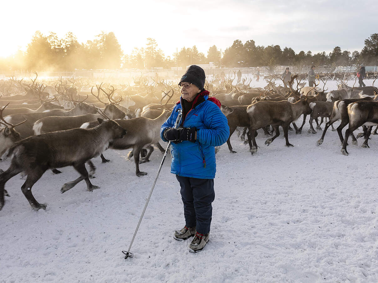 Åhkka Omma beim jährlichen Rentiertreiben © Maren Krings