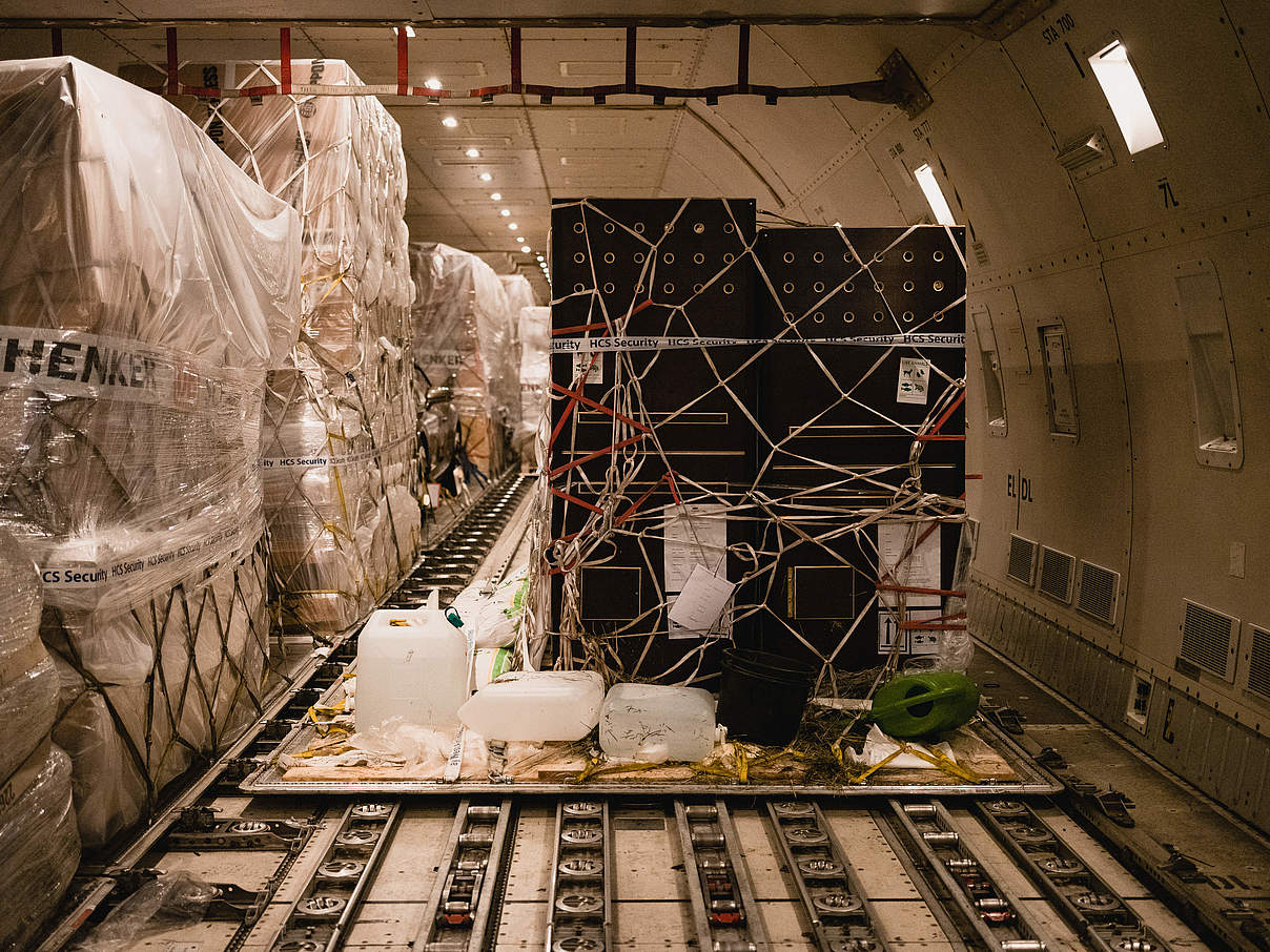 In der Transportbox sind die Tiere bestens für den Flug abgesichert © Alexander Paul Brandes / WWF