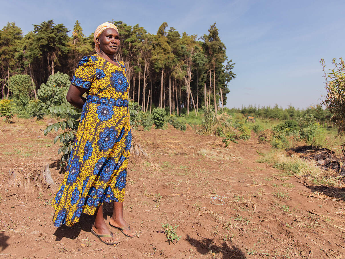 Lokale Farmerin für die Aufforstung in Loitoktok © Daniel Crous / WWF