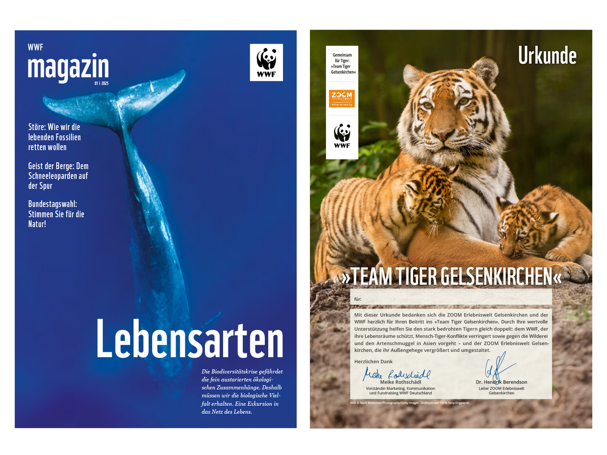 Cover des WWF Magazin und Urkunde © WWF
