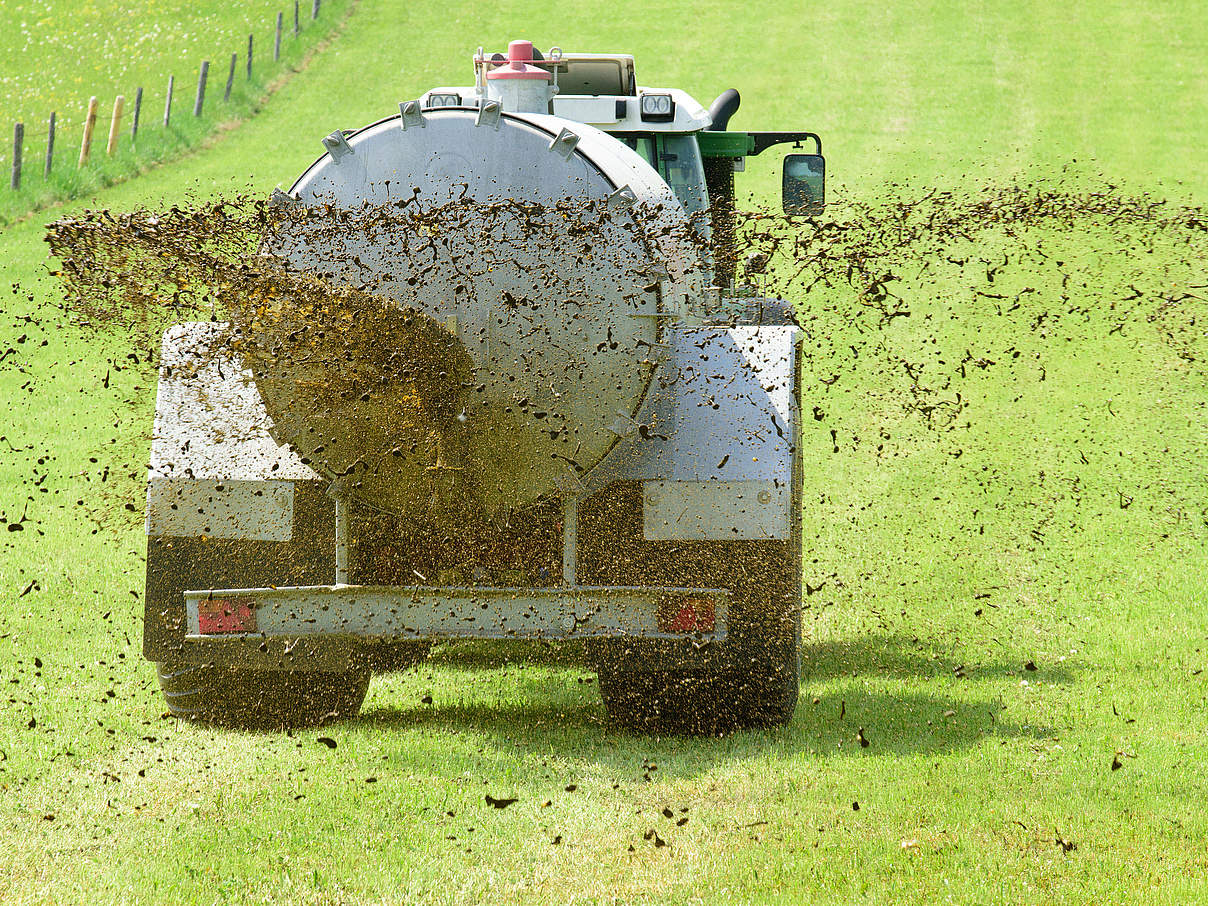 Düngung auf dem Feld © filmfoto / iStock / GettyImages Plus