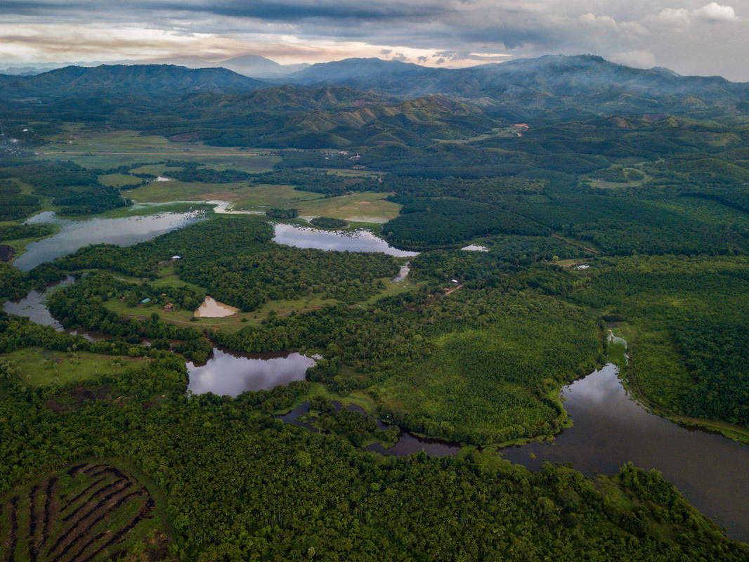 Wald in Myanmar © Hkun Lat / WWF-Aus