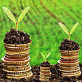 Nachhaltige Finanzen © Getty