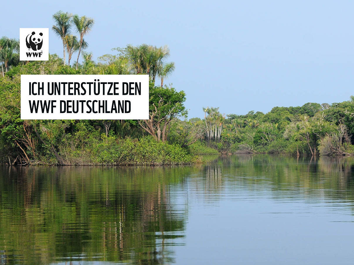 Bildschirmhintergrund für eine Videokonferenz: Amazonas © WWF-Brazil / Zig Koch