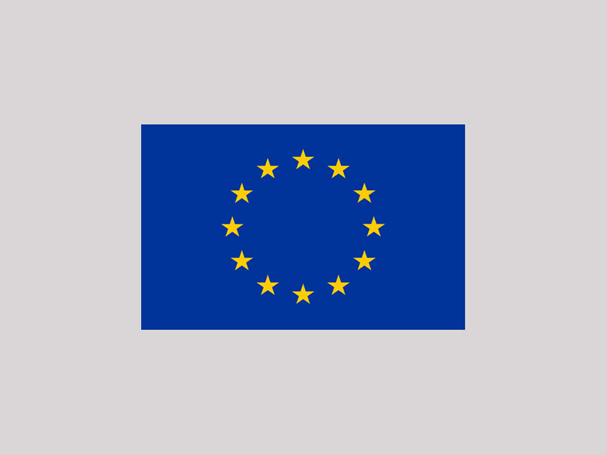 Dieses Projekt wird von der EU gefördert © EU Dieses Projekt wird von der EU gefördert © EU
