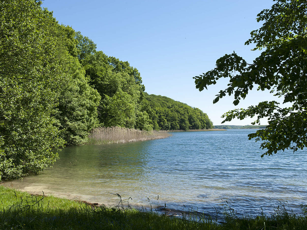 Feldberger Seenlandschaft © Ralph Frank / WWF