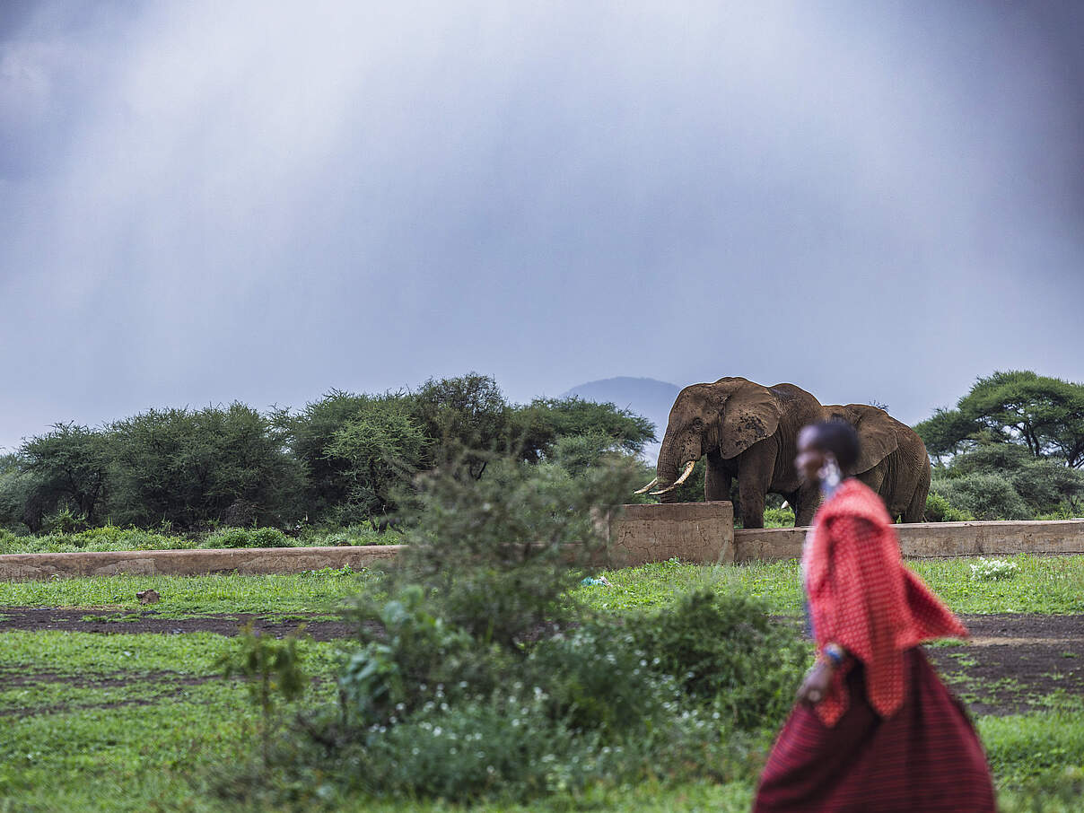 Im Hintergrund trinkt ein Elefant aus einer betonnierten Tränke, im Vordergrund läuft eine bunt gekleidete, kenianische Frau