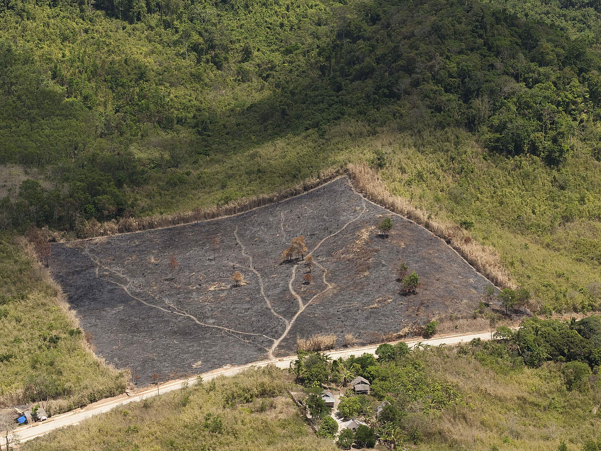 Brandrodung für Anbauflächen in den Philippinen © Jürgen Freund / WWF 