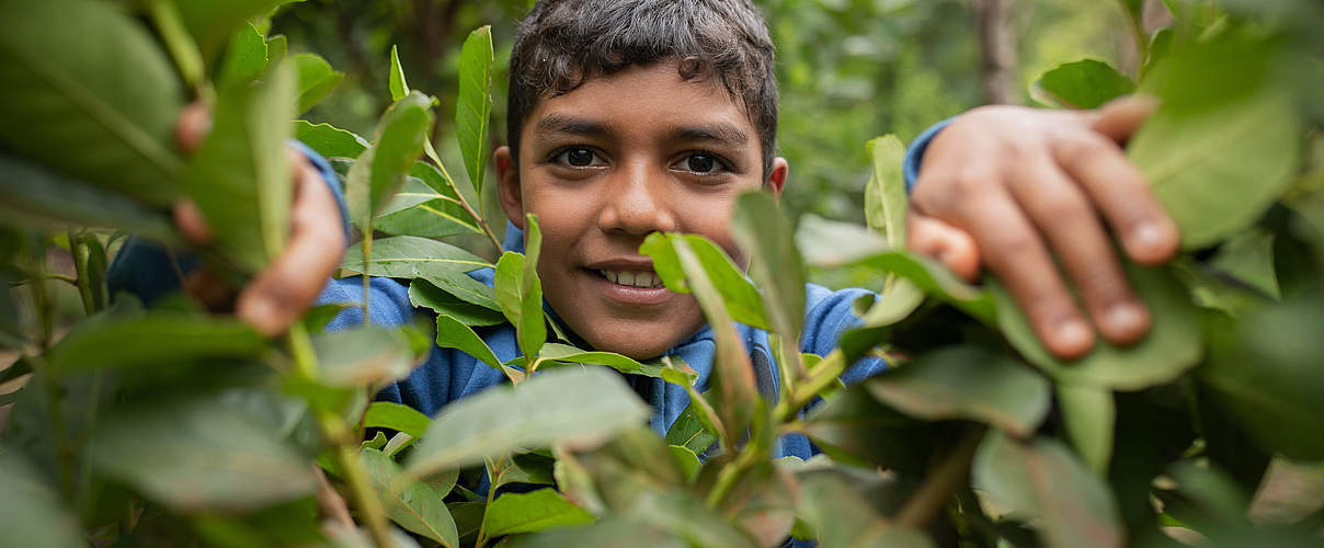 Mate in Paraguay © Sonja Ritter / WWF