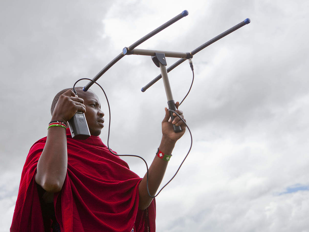 Mitarbeiter des WWF empfängt die Signale eines besenderten Elefanten © Greg Armfield / WWF UK