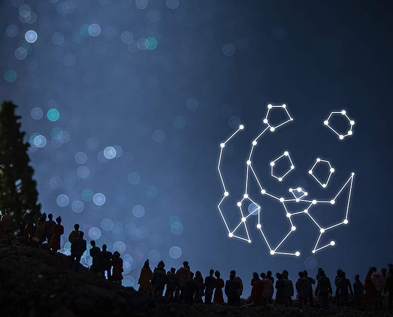 Lass die Raketen © WWF