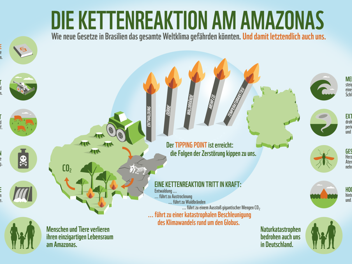 Die Kettenreaktion am Amazonas. © WWF Deutschland