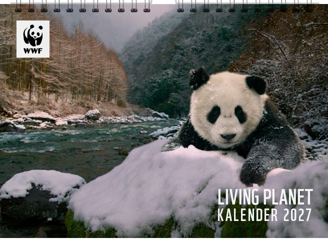 Titelbild des Living Planet Kalender 2027 