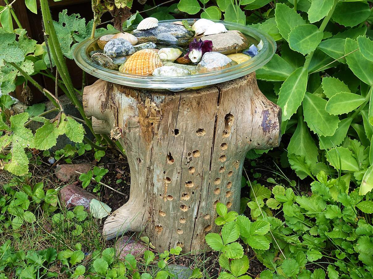 Insektenhotel in einem Baumstamm 