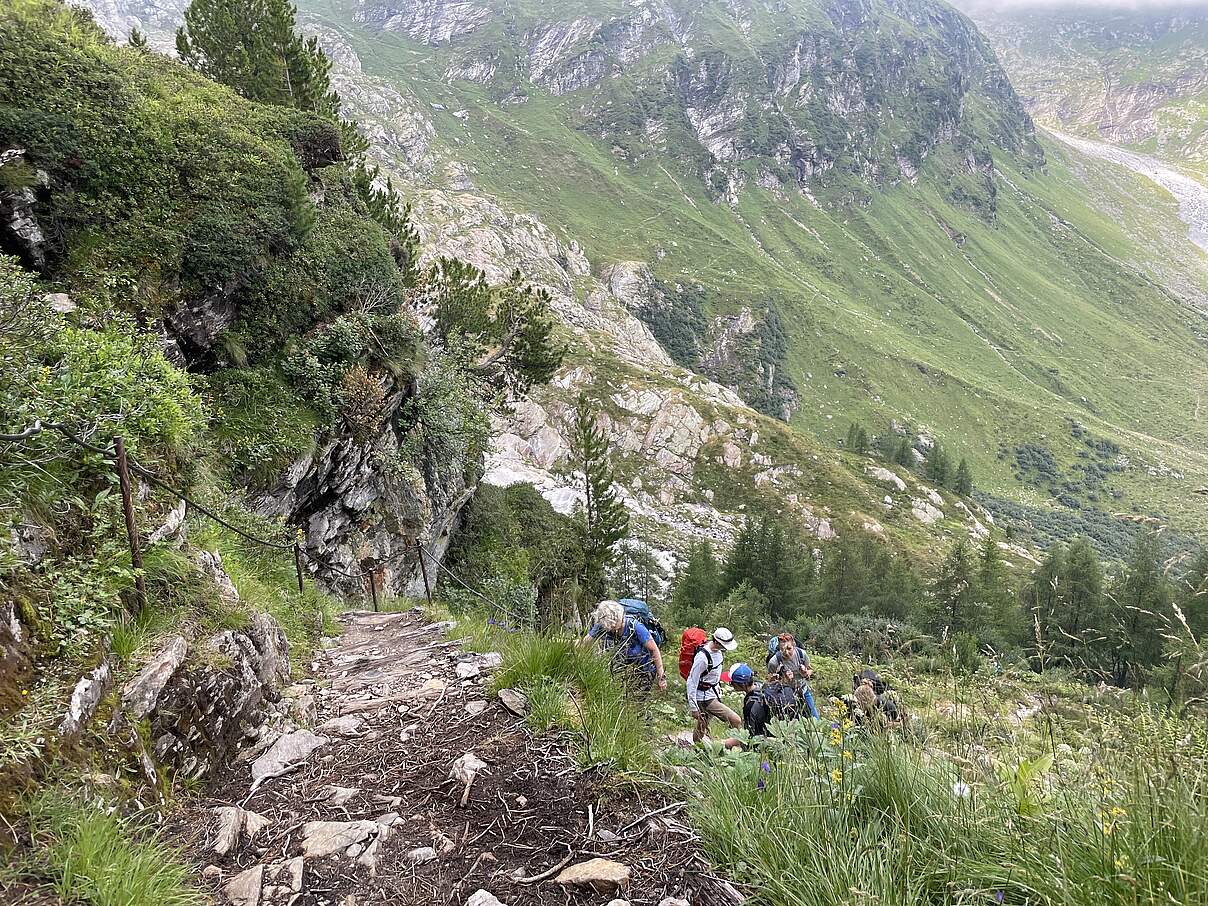 Wandern in den Alpen