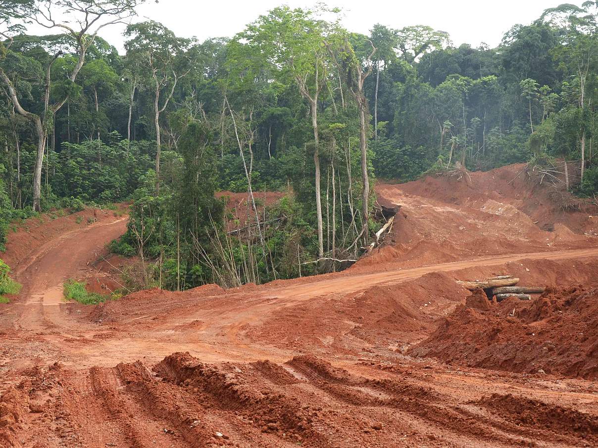 Waldzerstörung durch chinesische Holzfirma in Souanke, Kongo. © Jaap van der Waarde / WWF-Netherlands